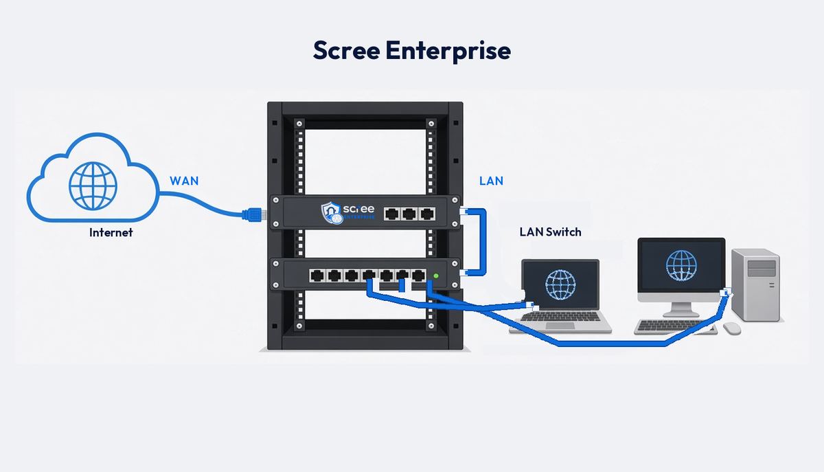 WAN and LAN cabling for Scree Enterprise